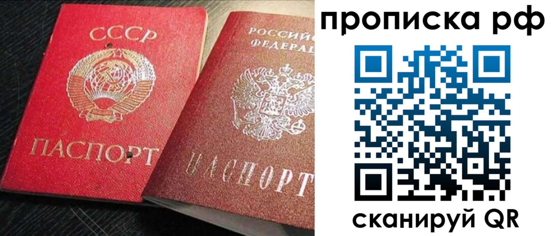 где прописаться в Дубовке